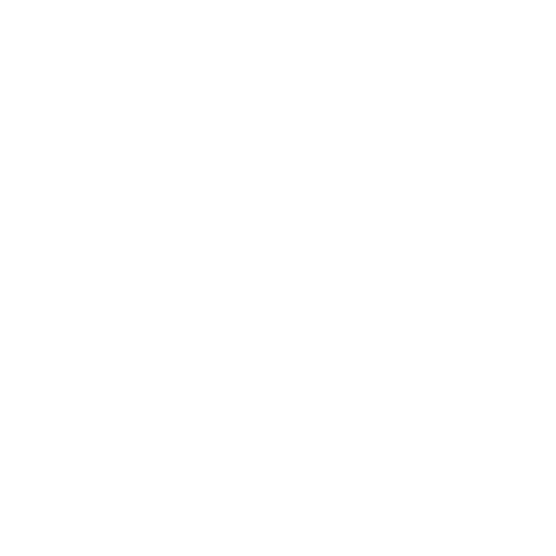 Warrior Network Agency